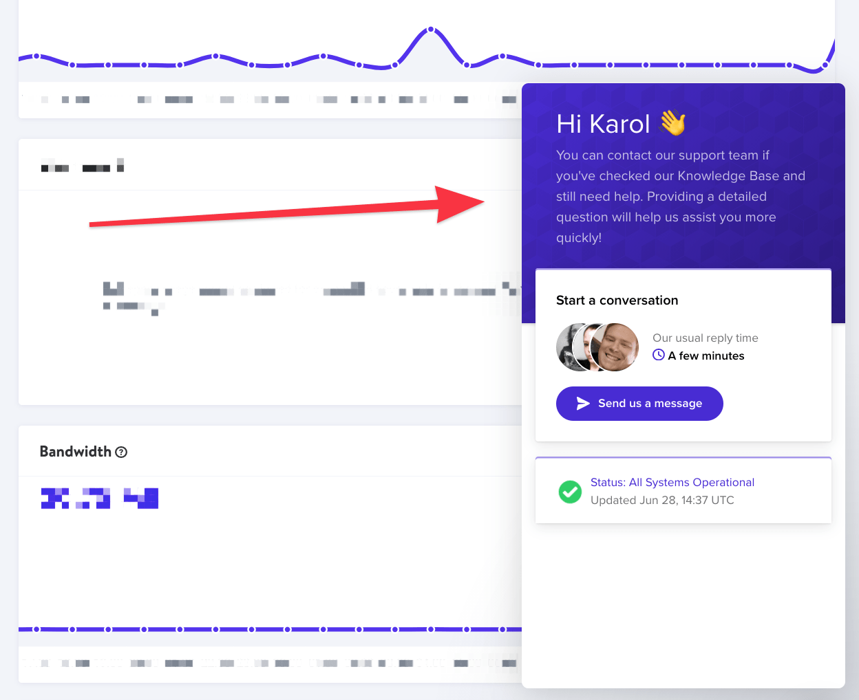 Kinsta hosting review: support chat